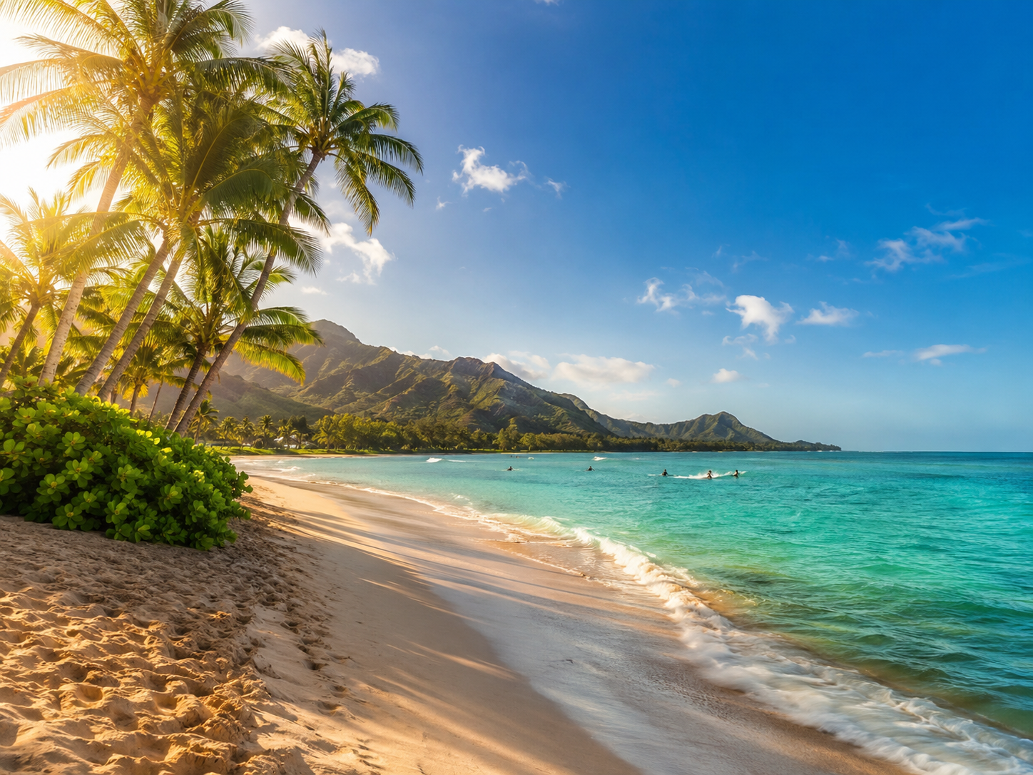 Aloha Charter（ハワイ・オアフ島 貸切チャーター観光）公式サイトのロゴ